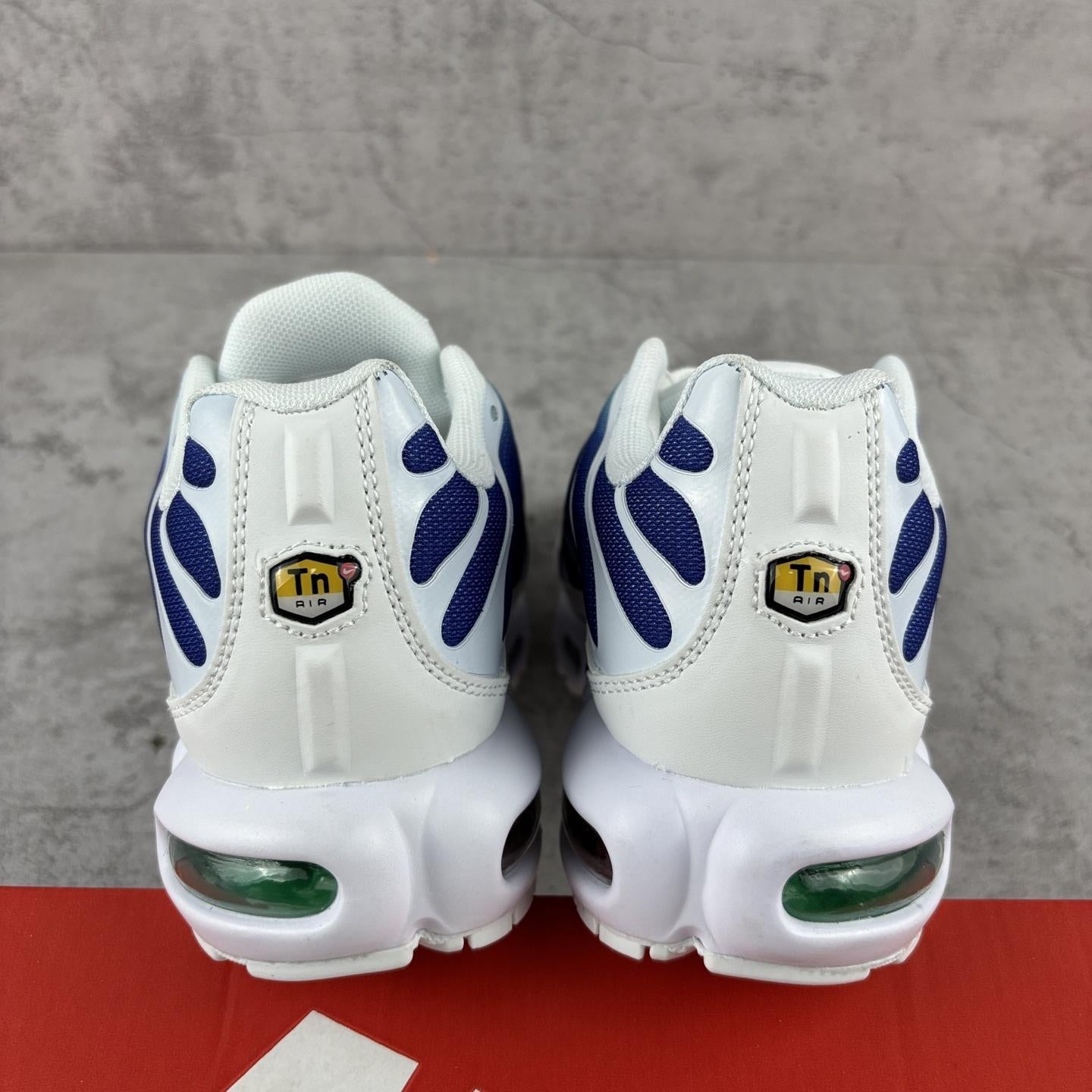 Nike Air Max Plus Tn