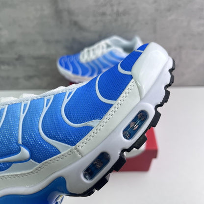 Nike Air Max Plus Tn