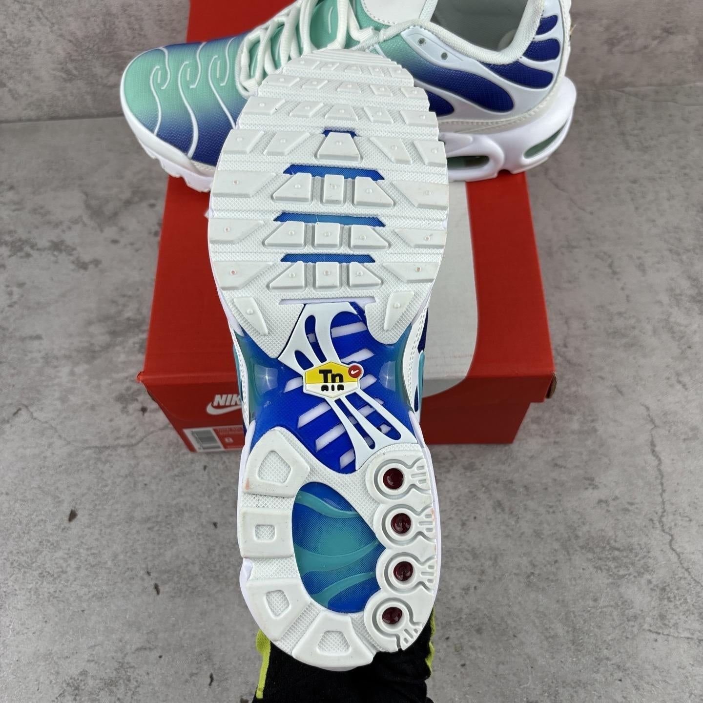 Nike Air Max Plus Tn